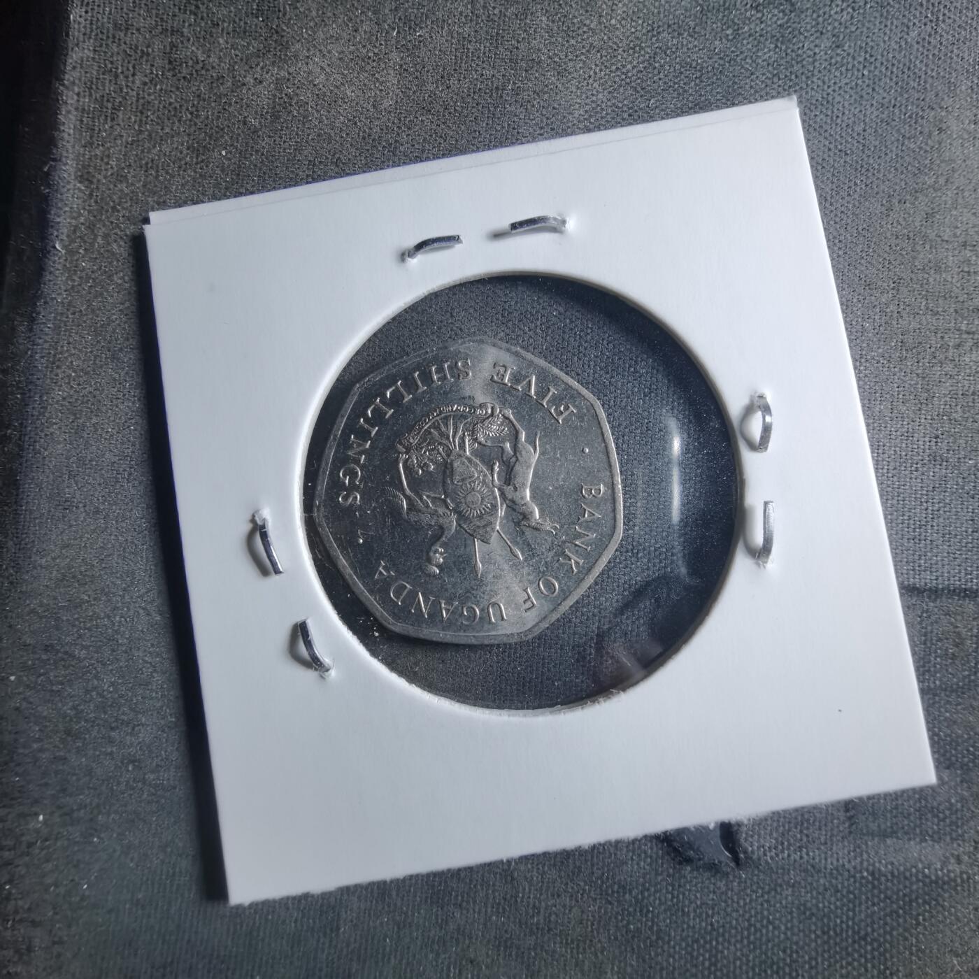 沼泽如烟--第898场