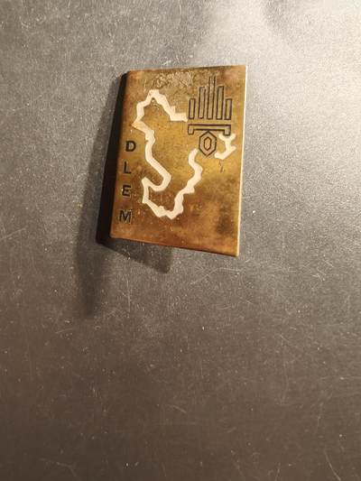 老王徽章第162期 -  法国外籍兵团马约特特遣队证章     徽章上的地图轮廓代表马约特岛（Mayotte），这是位于印度洋的一个法国海外省。