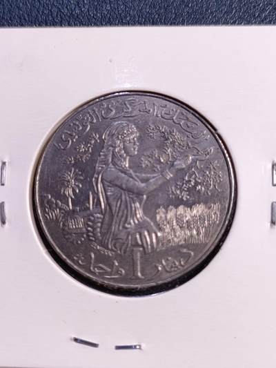 世界各国普、纪币捡漏专场(第十八场) - 2011年突尼斯（F.A.O)摘花女神1第纳尔