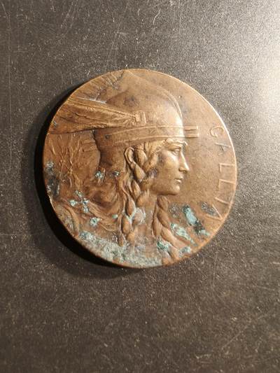 老王徽章第162期 - 法国“高卢人”大铜章     直径41mm.    重量30.7g