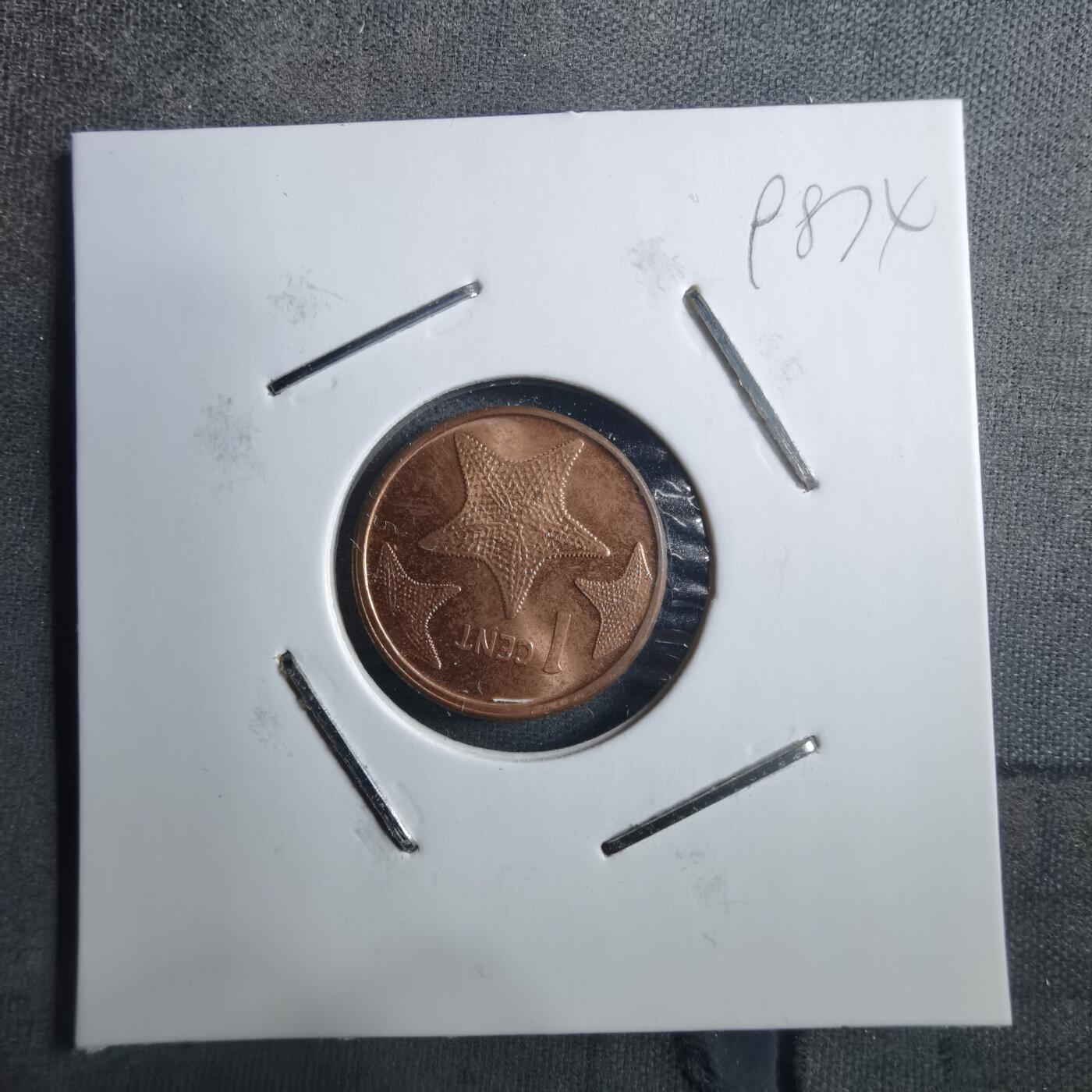 沼泽如烟--第898场