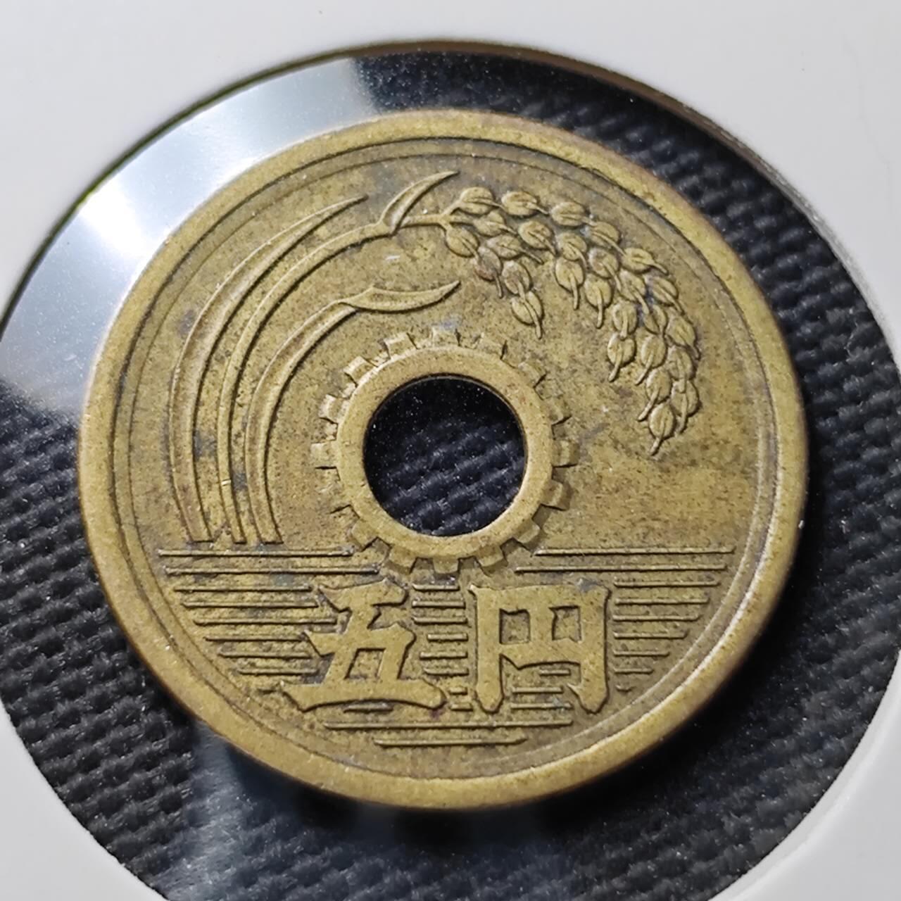 KK钱币收藏小铺  第367场  2月预留时间 周末发货