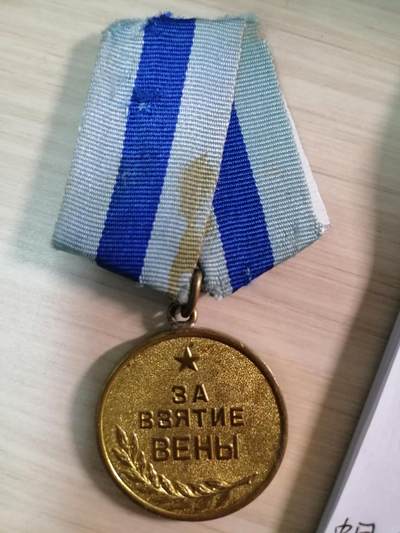 攻克维也纳奖章 - 攻克维也纳奖章