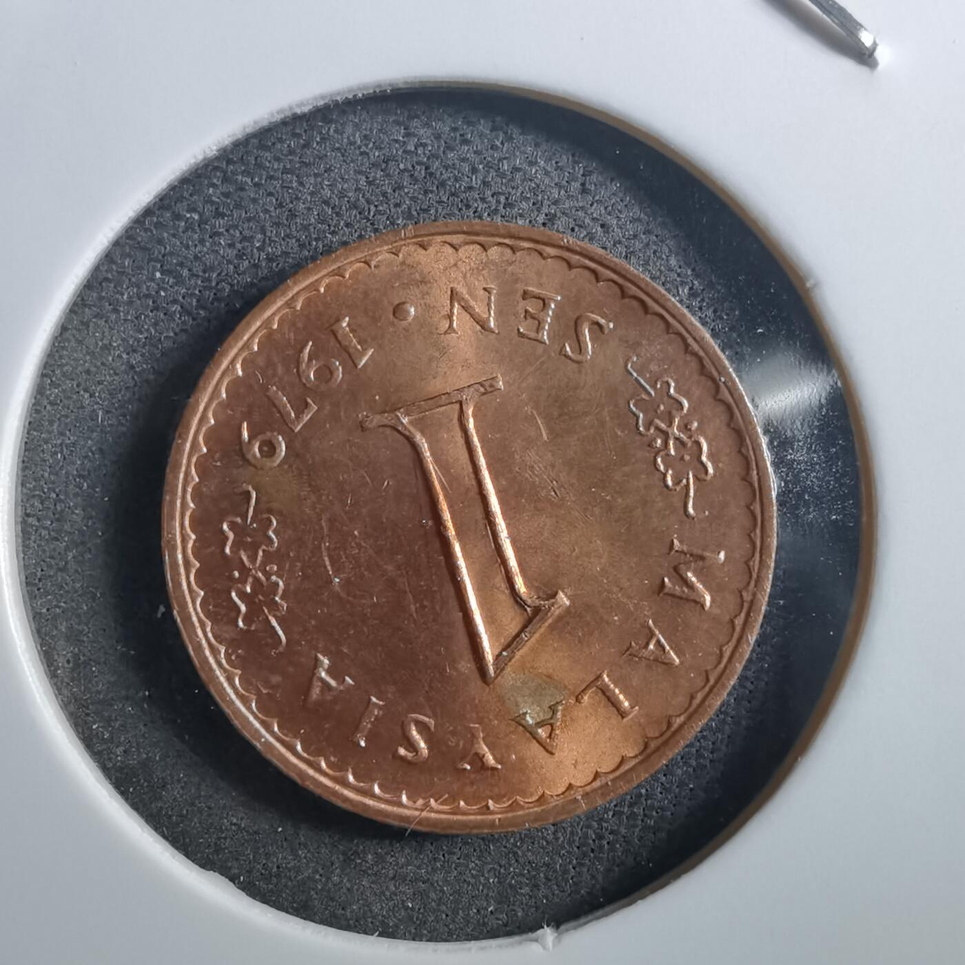 沼泽如烟--第897场