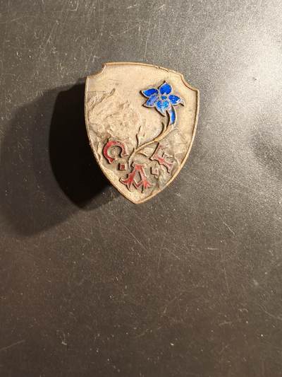 老王徽章第162期 -  法国登山俱乐部证章