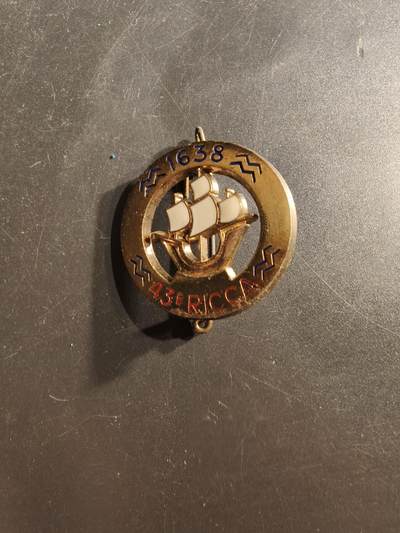 老王徽章第162期 - 法海军陆战队第43步兵团证章
