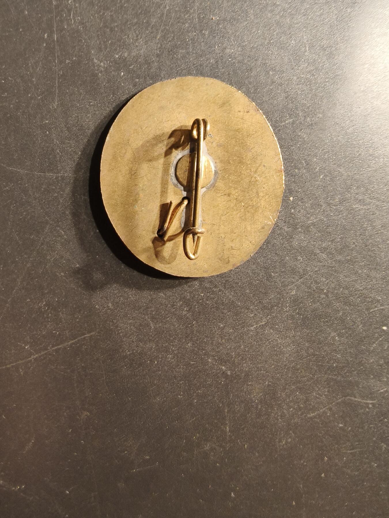 老王徽章第162期  法国坎丹丘冬季滑雪站证章