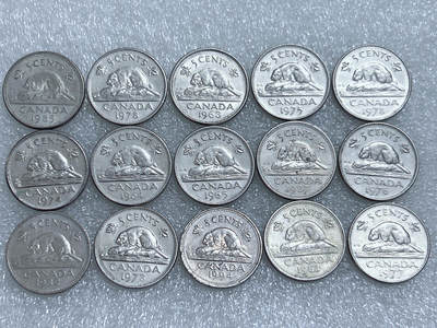 第一海外回流一元起拍收藏 散集专场  第264期 - 加拿大海狸版5分硬币 15枚