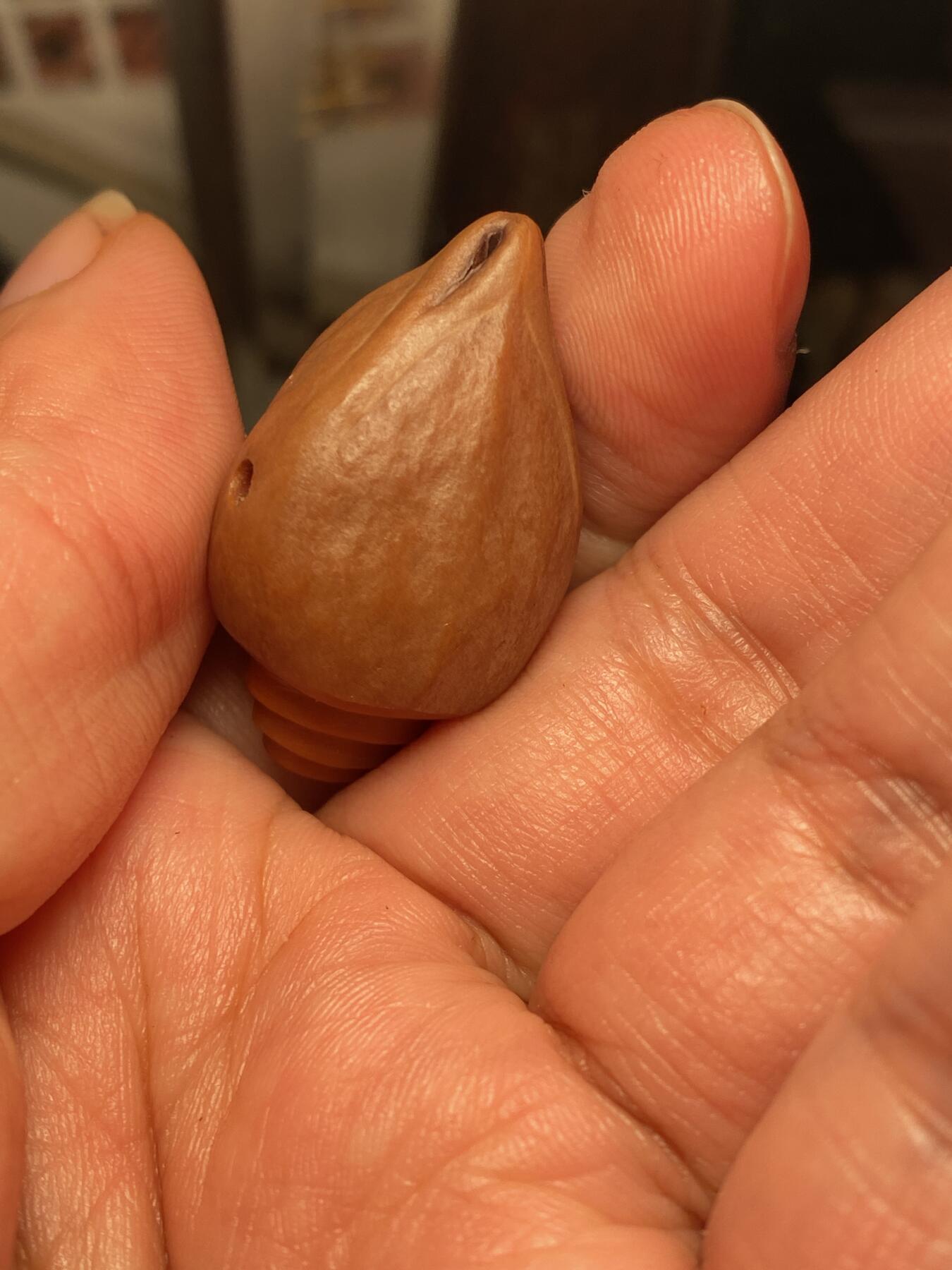 大佬都在看的苏工核雕捡漏价