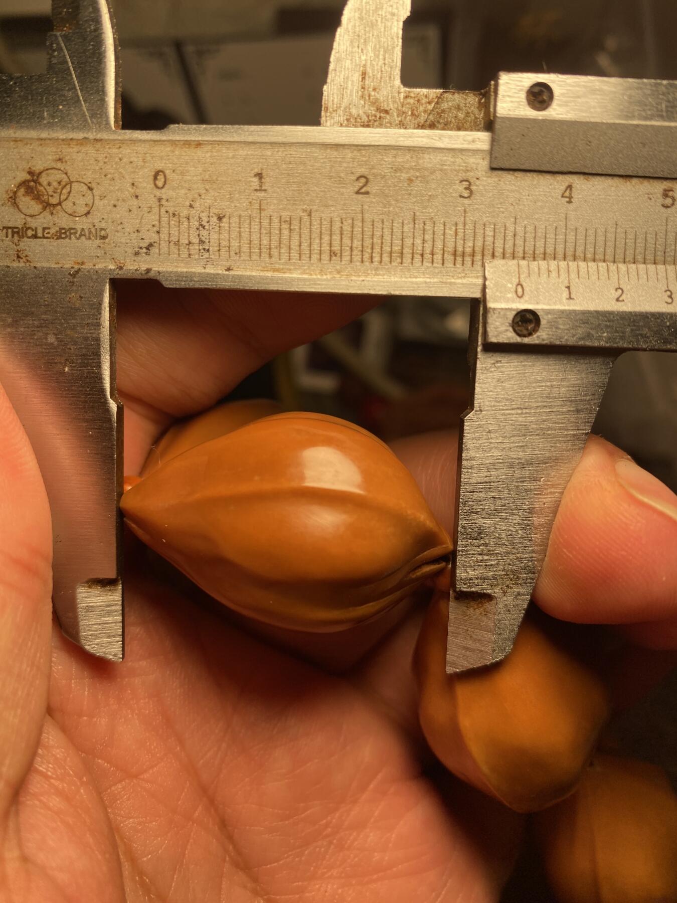 大佬都在看的苏工核雕捡漏价