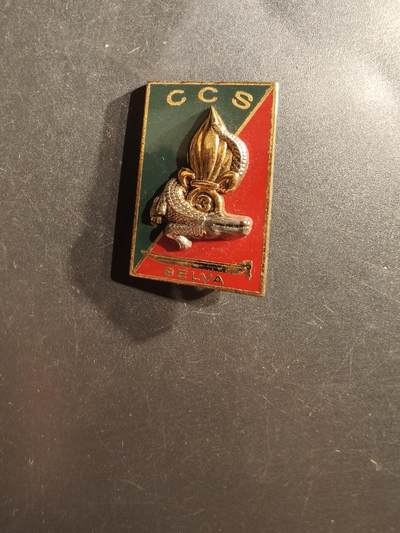 老王徽章第162期 - 法国外籍军团第3步兵团指挥与勤务连证章 