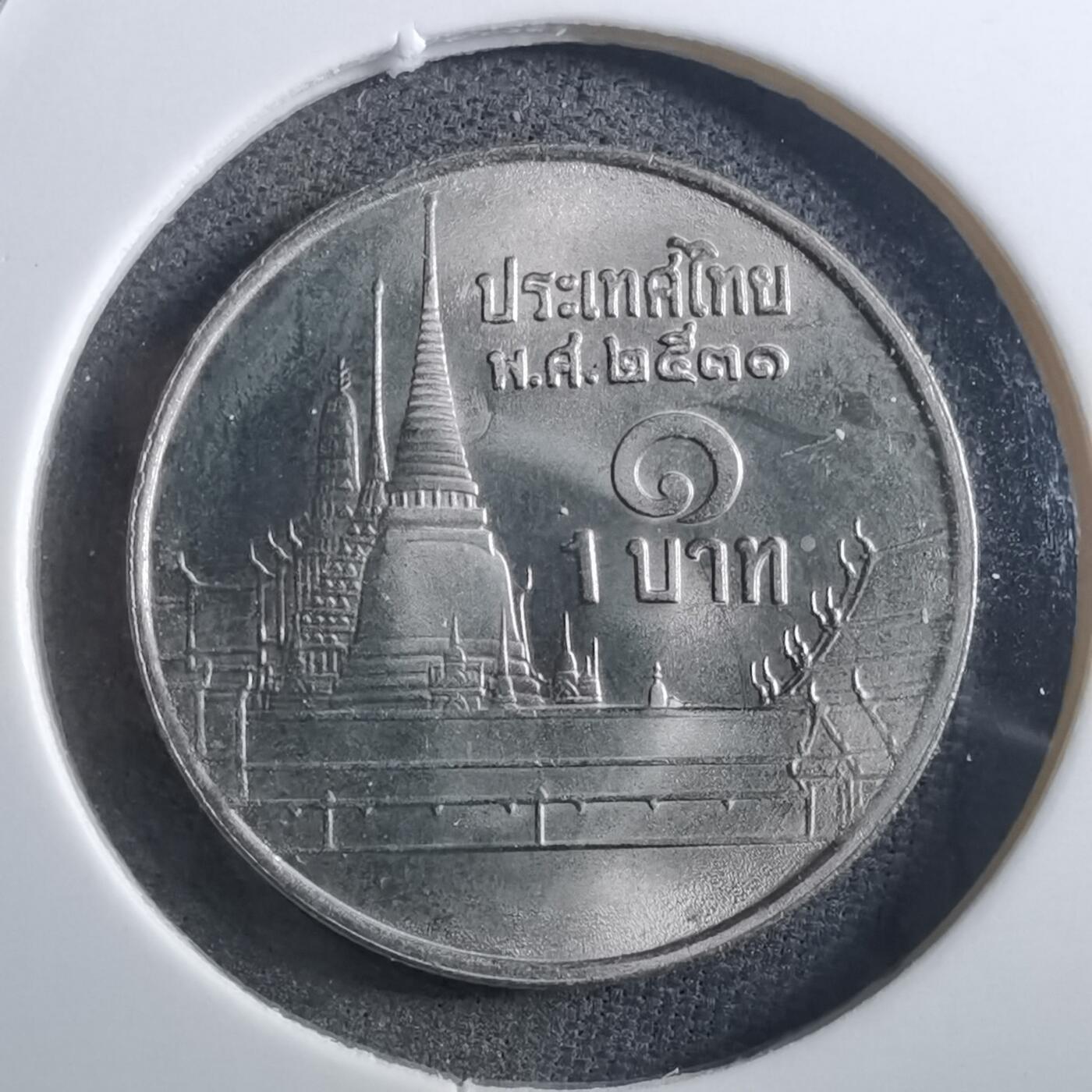 沼泽如烟--第897场 泰国