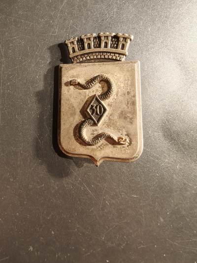 老王徽章第162期 -  法国地区30野战医疗服务团证章