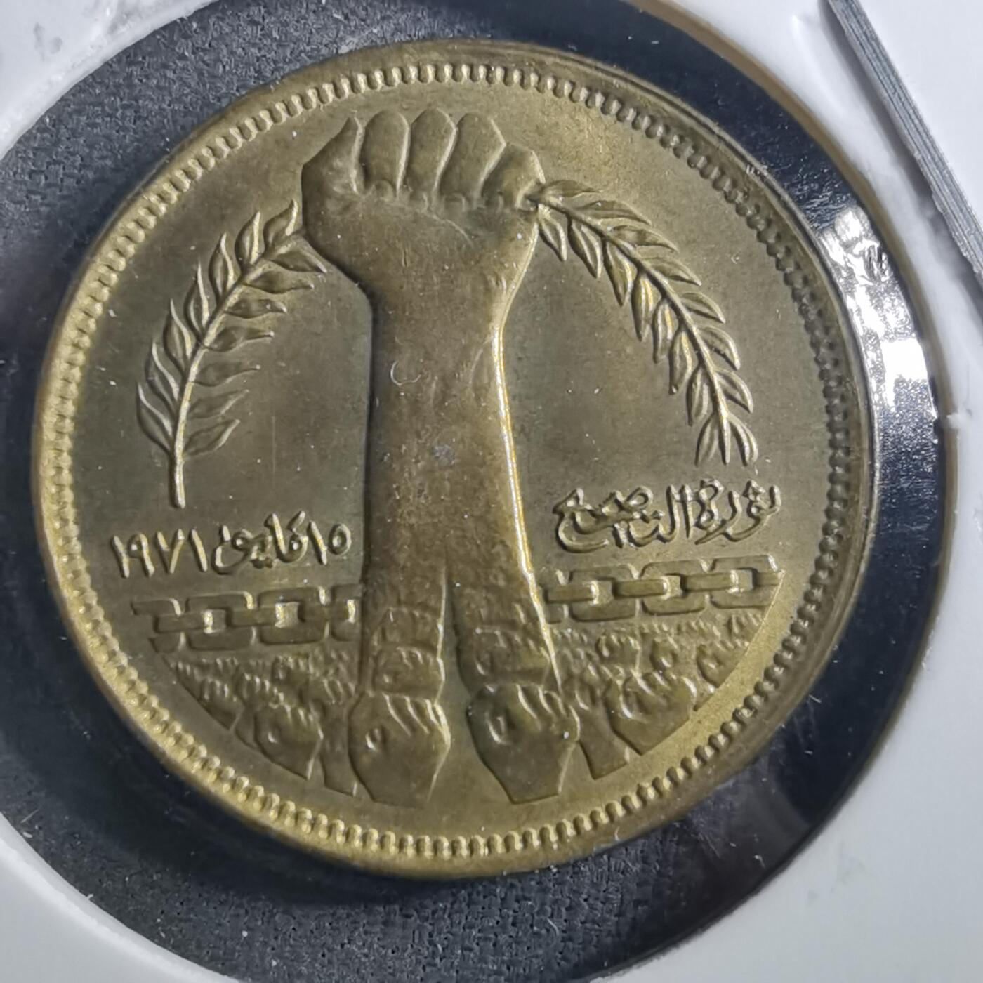 沼泽如烟--第898场 埃及铜握草