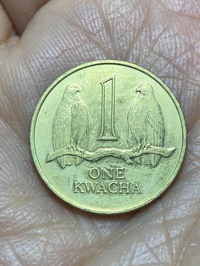 2025年第一百二十六场(总第一百五十二场）外国好品散币(免佣金) - 赞比亚🇿🇲1992年1克瓦查