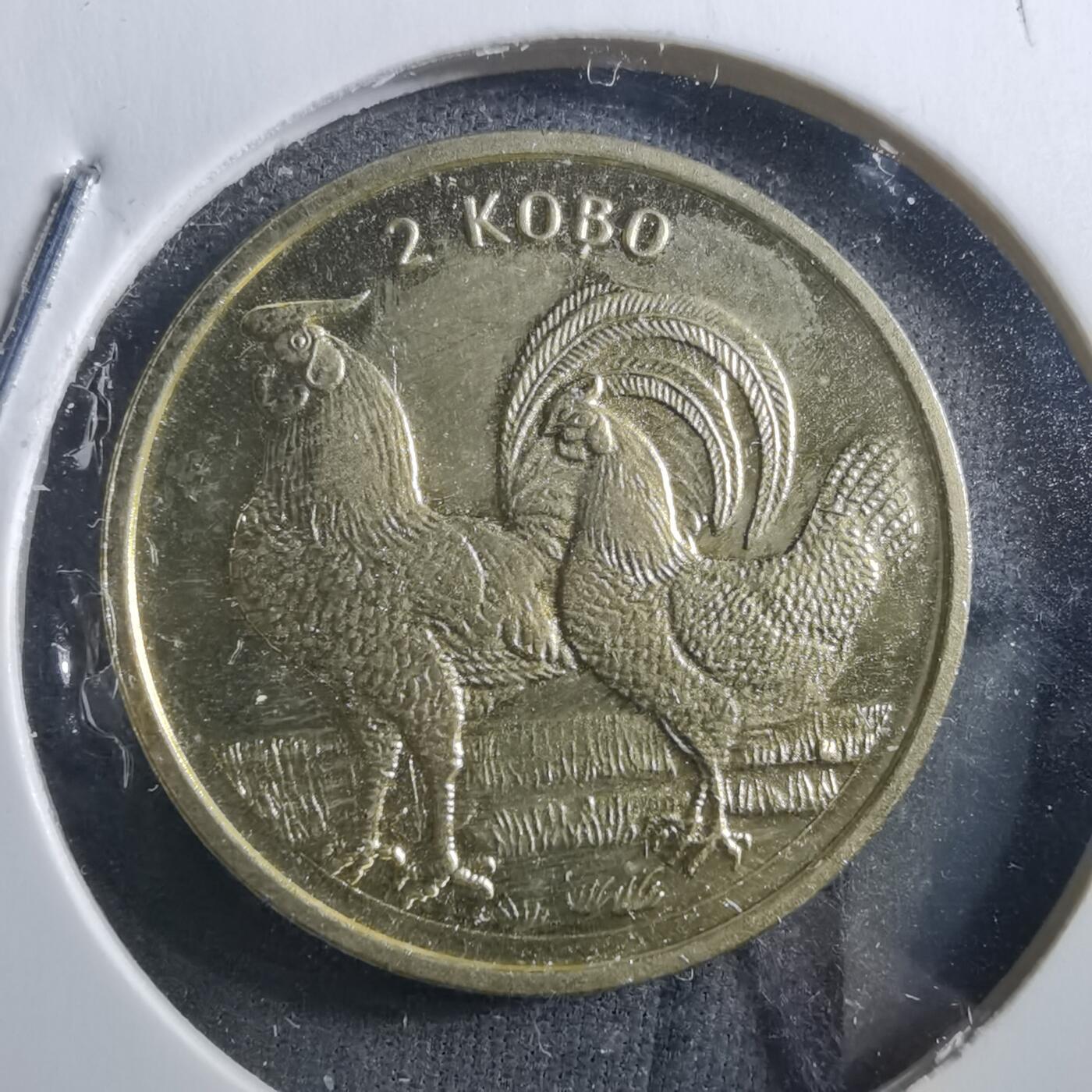 沼泽如烟--第898场 尼日利亚2004年2考包