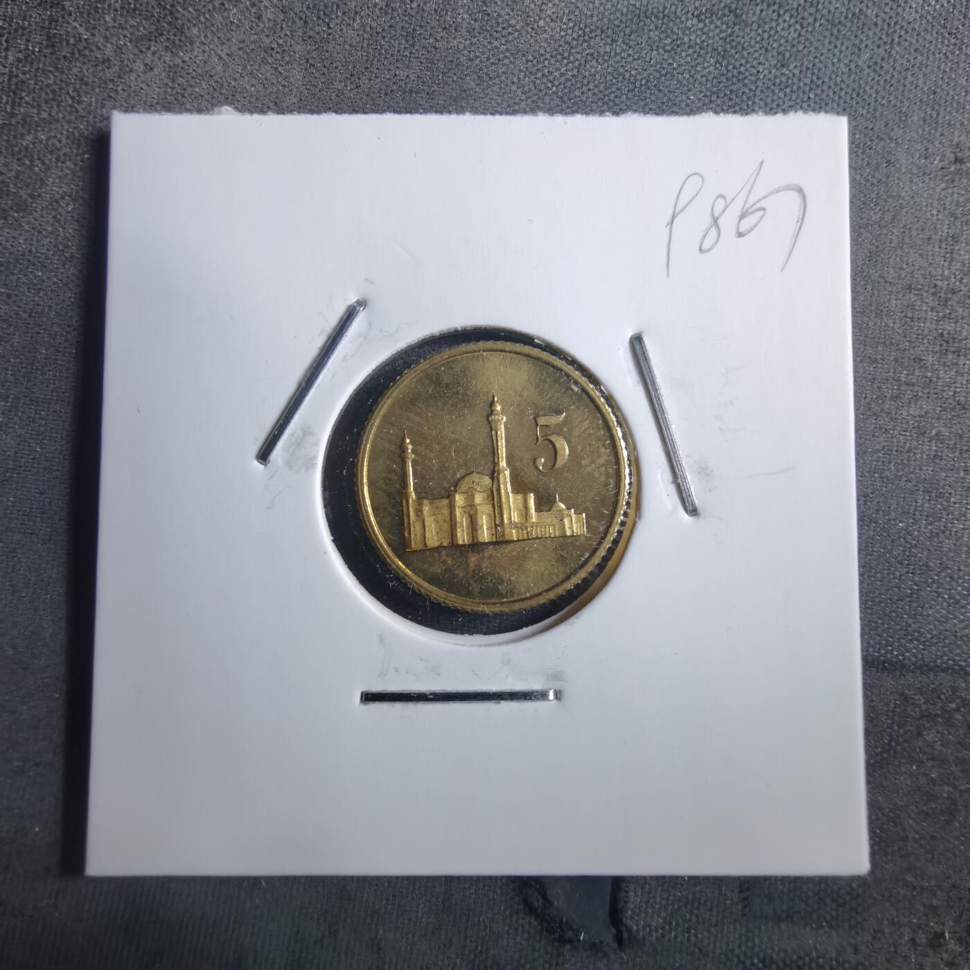 沼泽如烟--第898场 币形章非币