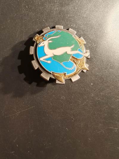 老王徽章第162期 -  法国陆军第515军事运输团证章