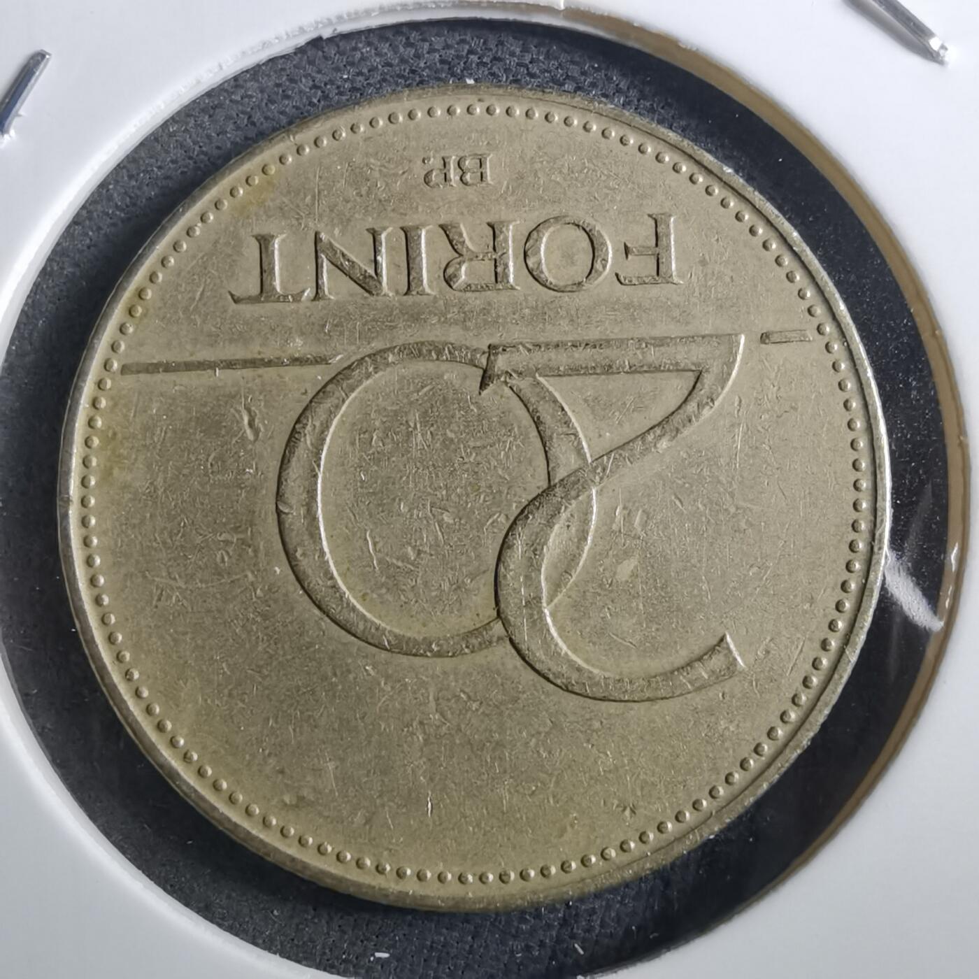 沼泽如烟--第897场