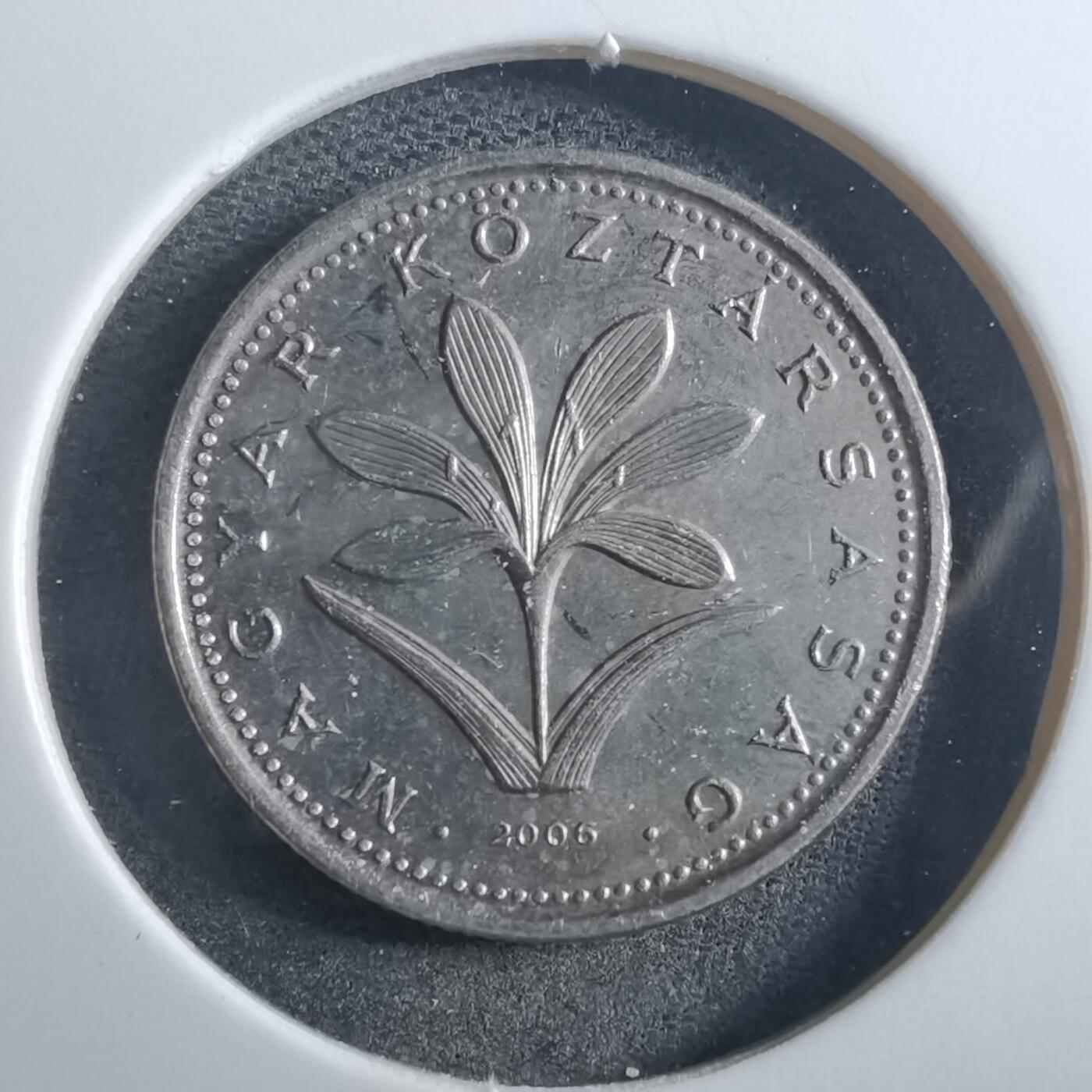 沼泽如烟--第897场