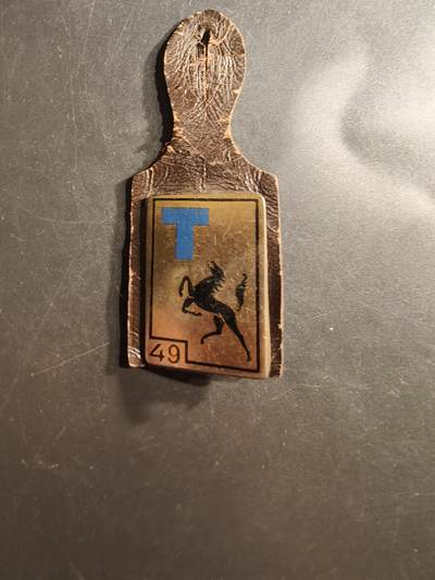 老王徽章第162期 - 法国第49通信团证章 