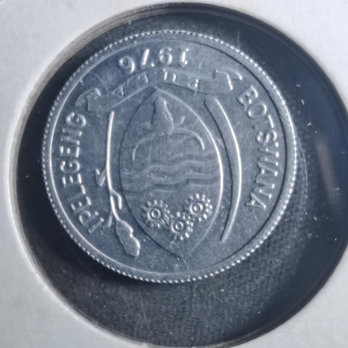 沼泽如烟--第896场