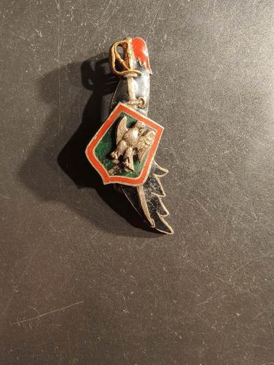 老王徽章第162期 -  法国陆军第7龙骑兵团证章