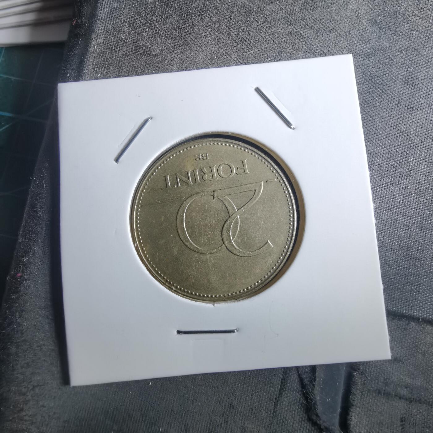 沼泽如烟--第897场