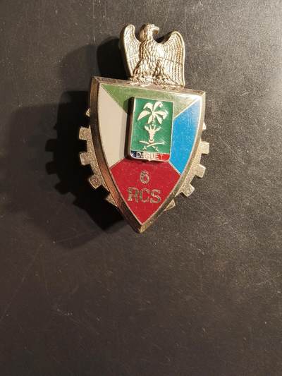 老王徽章第162期 - 法国第6指挥与支援团证章 