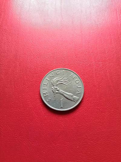 【云涧收藏】第七十八场 - 坦桑尼亚1975年1先令