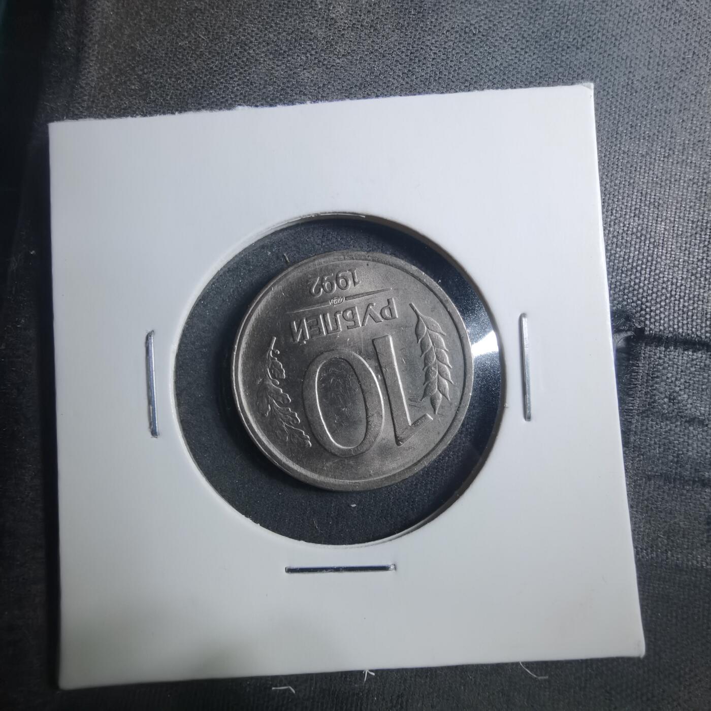 沼泽如烟--第896场