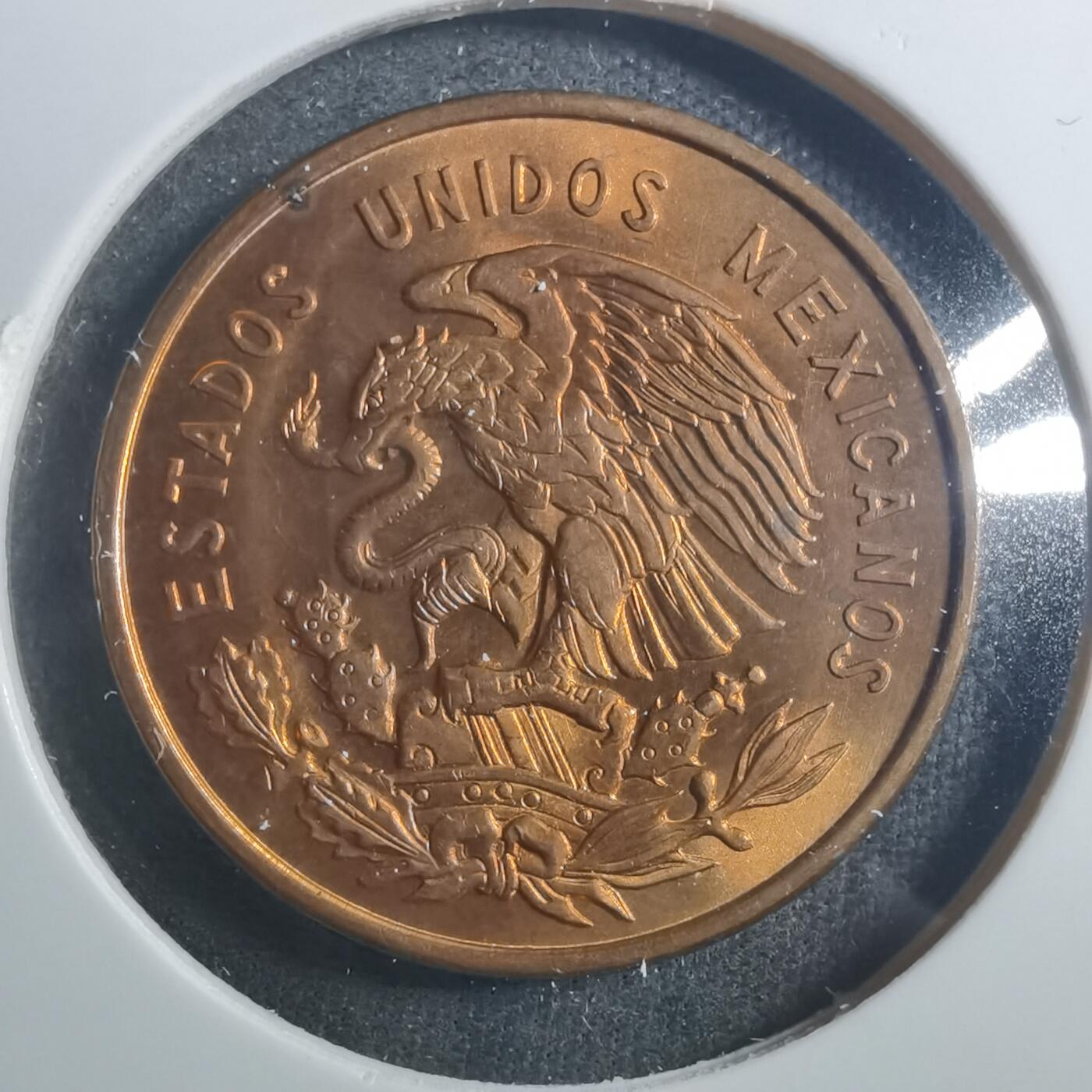 沼泽如烟--第896场 墨西哥1959年十分