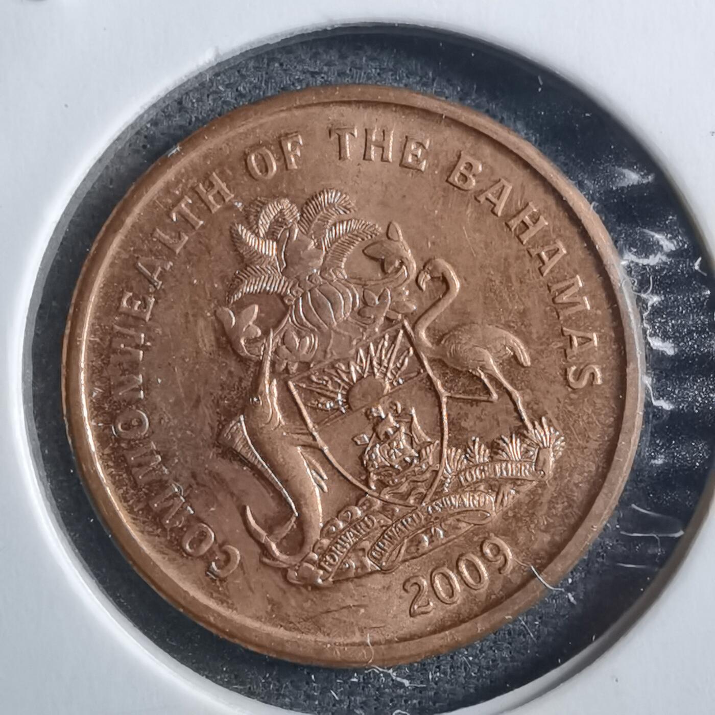 沼泽如烟--第898场