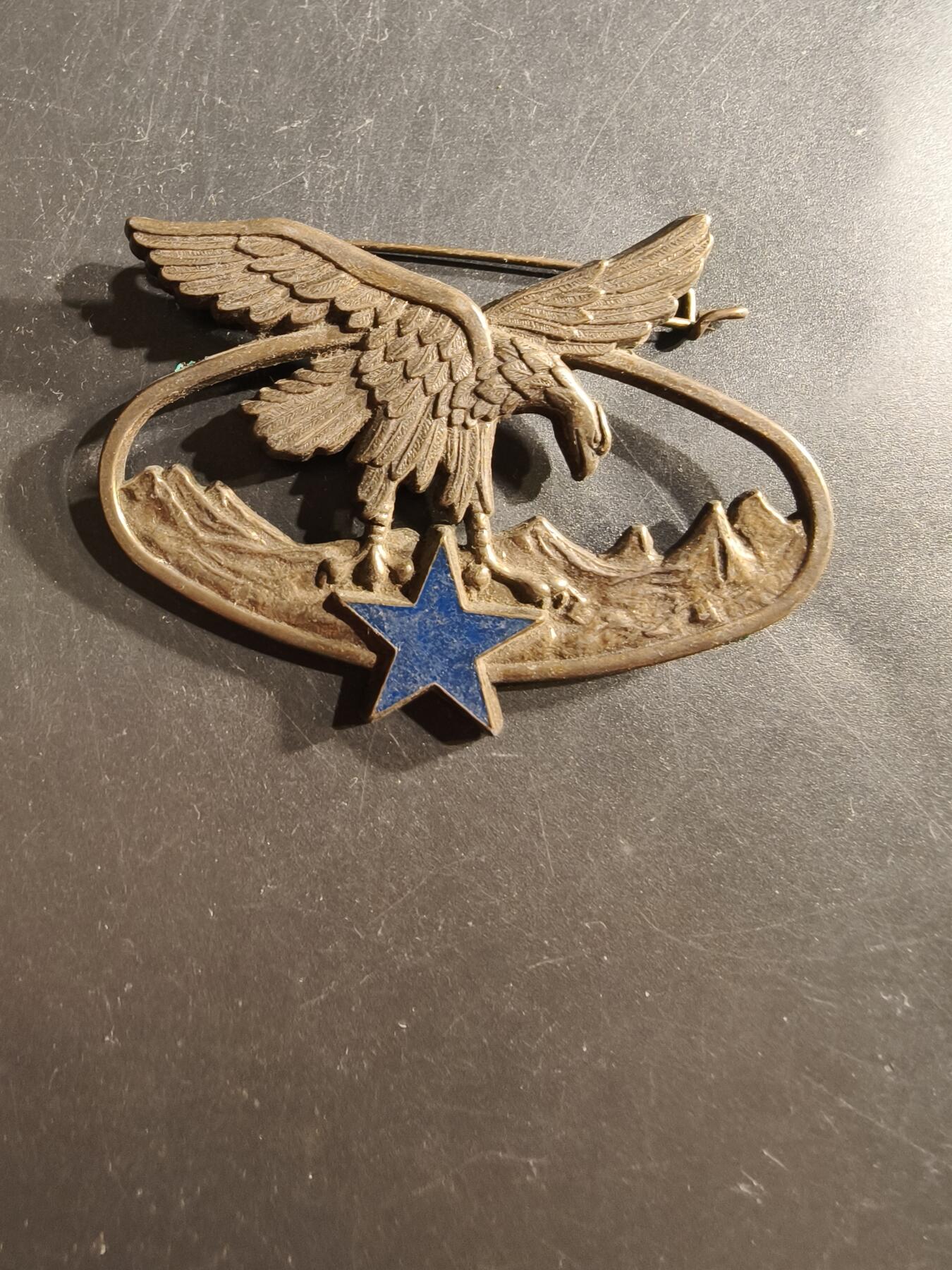 老王徽章第162期