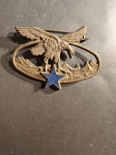 老王徽章第162期 -  法国山地部队“山地作战”证章