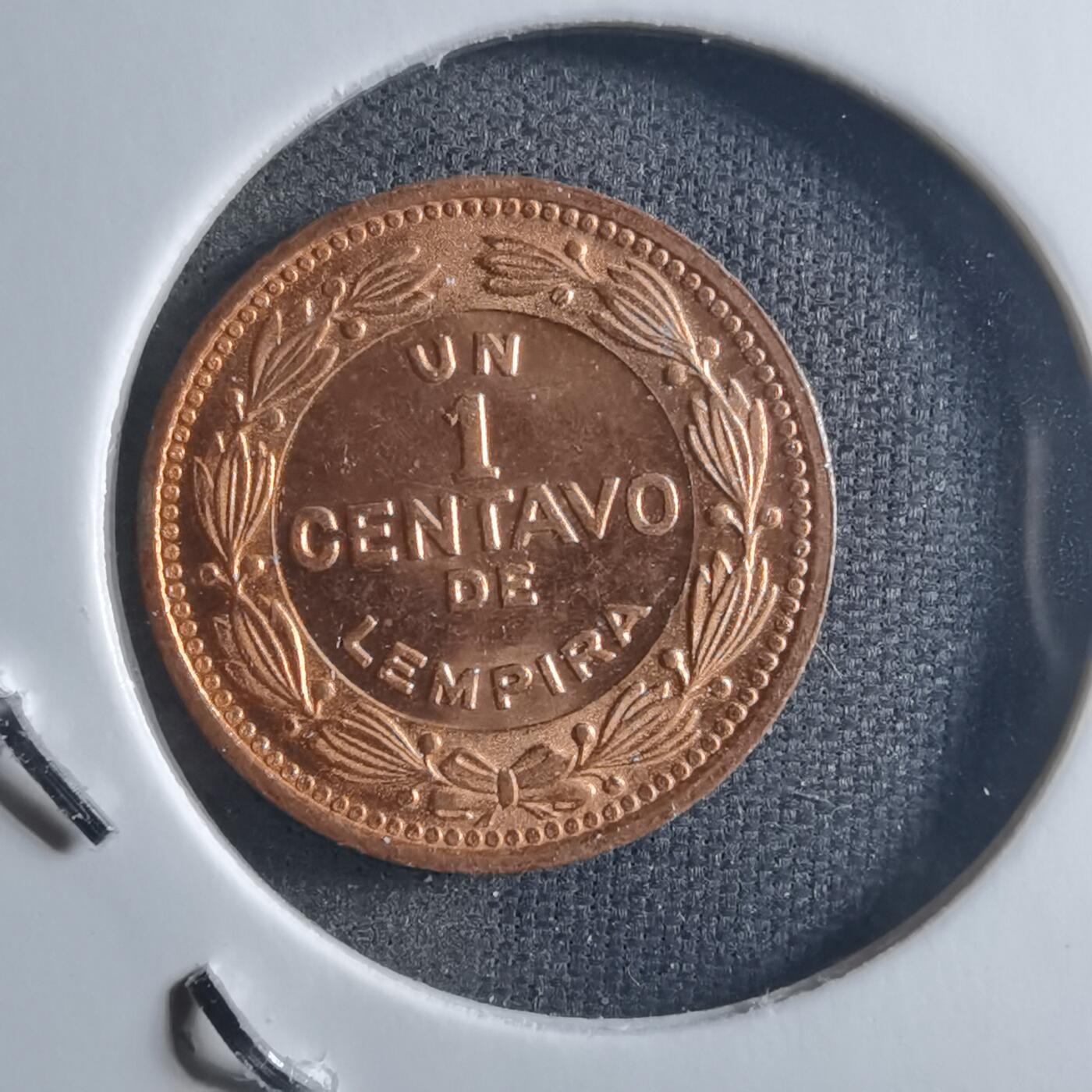 沼泽如烟--第898场 洪都拉斯1992年1分