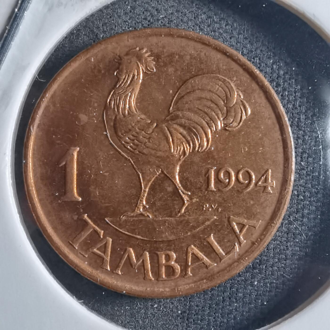 沼泽如烟--第898场 马拉维1994年1坦巴拉