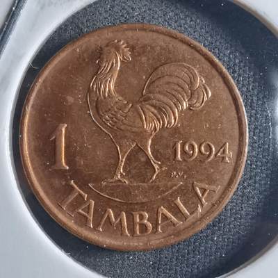 沼泽如烟--第898场 - 马拉维1994年1坦巴拉