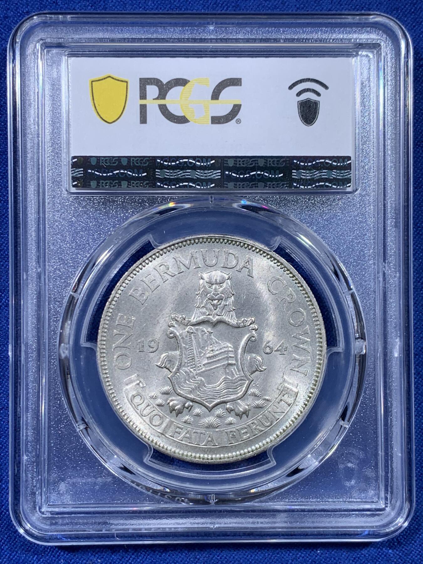 《竞宝斋》第436场 周日，周一2场连拍 （全场包邮）