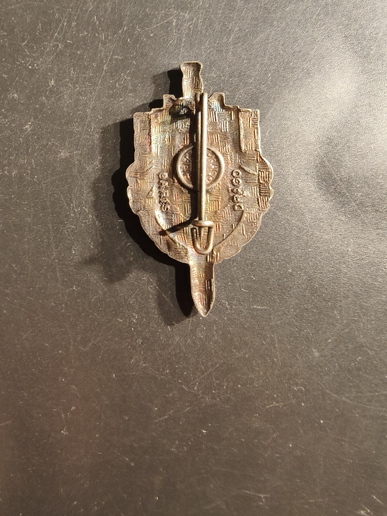 老王徽章第162期  法国第3装甲师证章      第3装甲师是法国陆军的一个师，成立于1943年，曾参加二战。