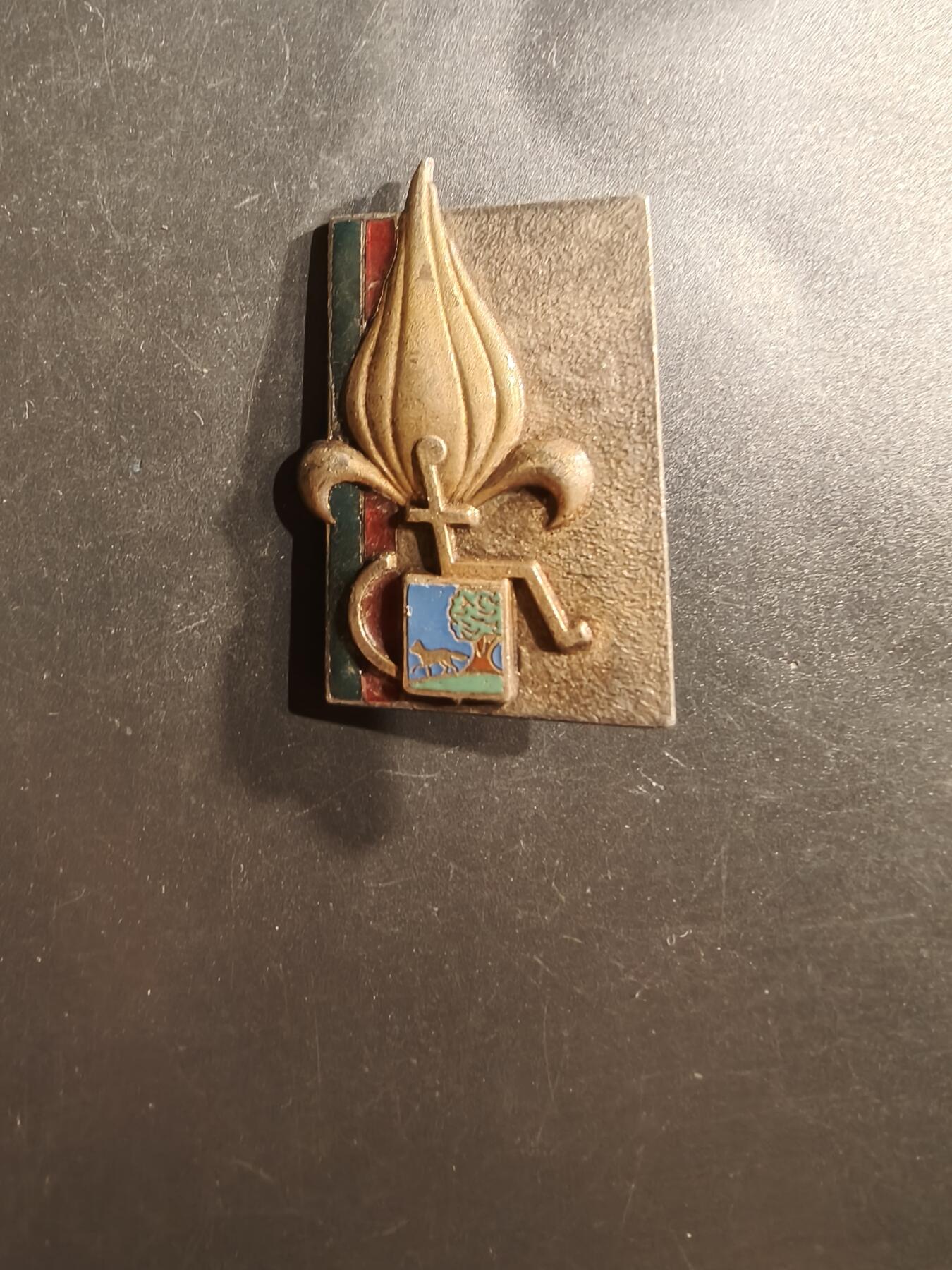 老王徽章第162期  法国外籍军团退役老兵协会证章