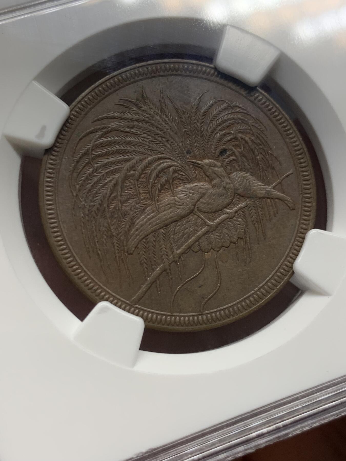 《竞宝斋》第436场 周日，周一2场连拍 （全场包邮） NGC MS62BN 1894年 徳属新几内亚天堂鸟10芬尼铜币 名家纽曼旧藏 细节极美 状态极好 稀少品种