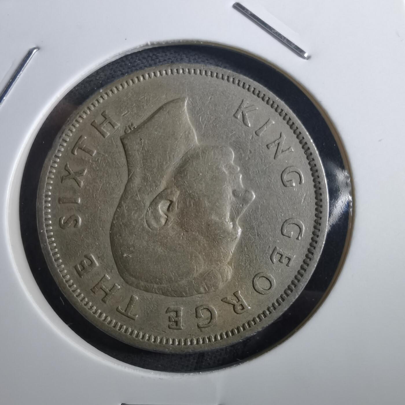 沼泽如烟--第897场