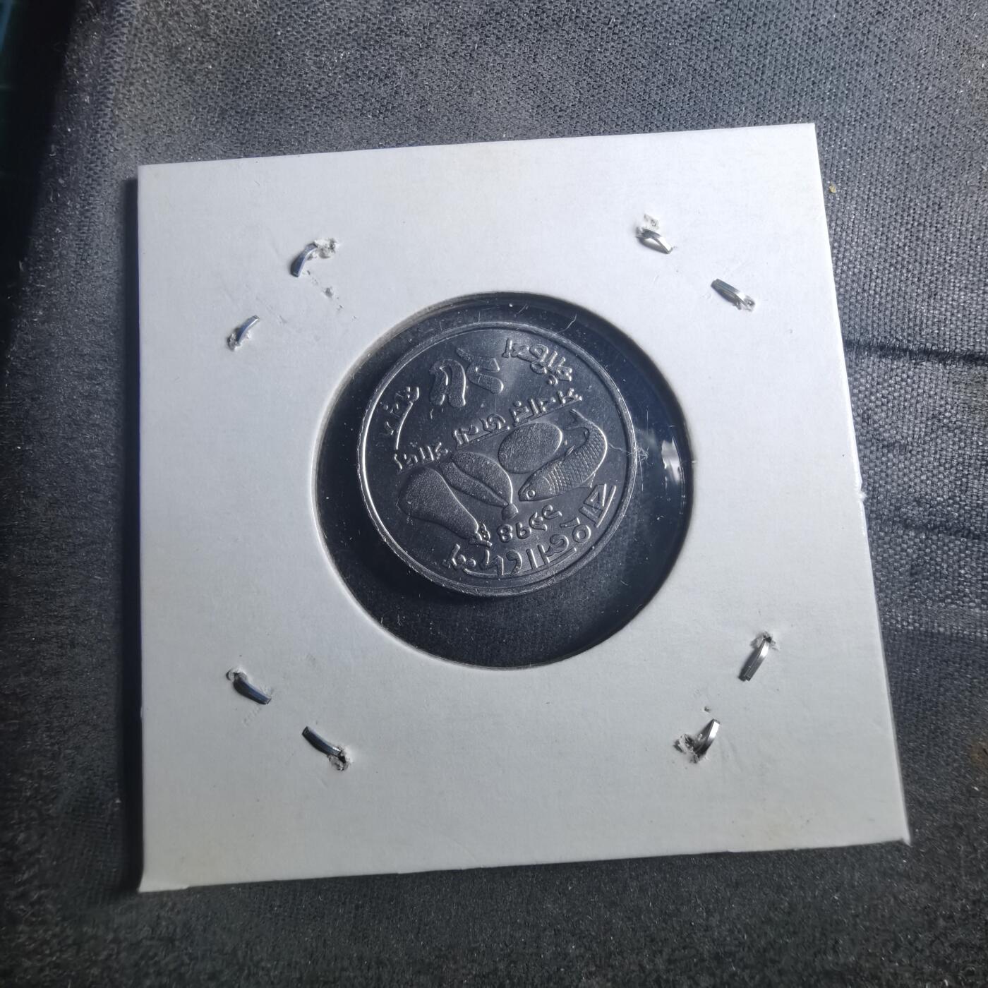 沼泽如烟--第896场 孟加拉