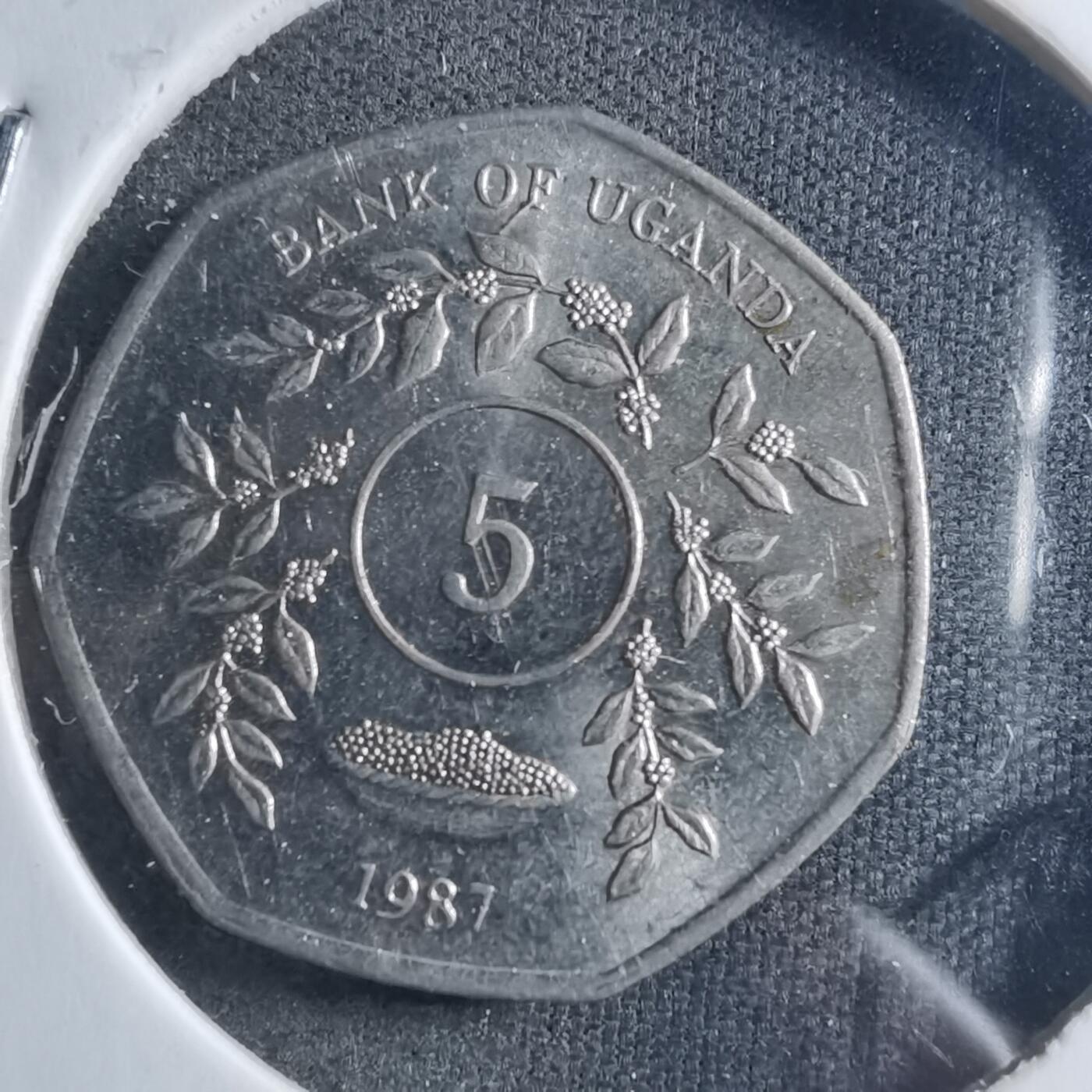 沼泽如烟--第898场