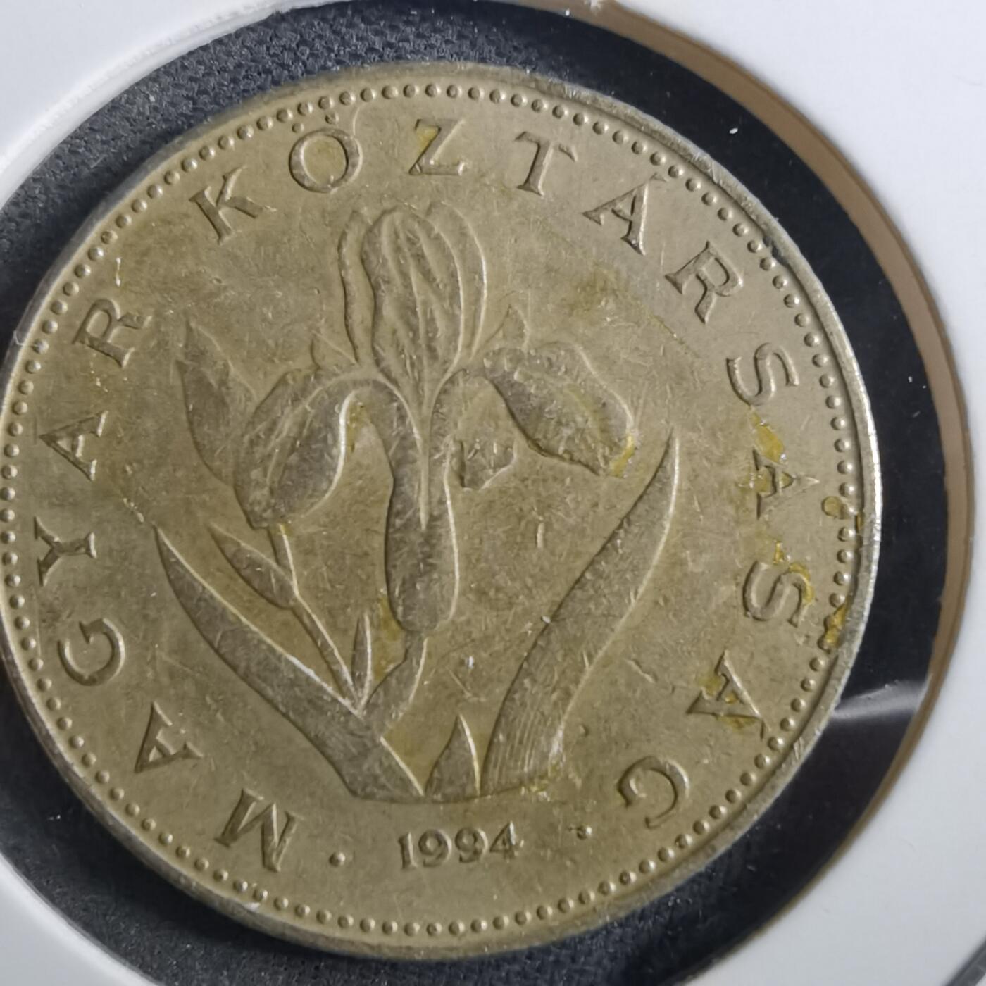 沼泽如烟--第897场