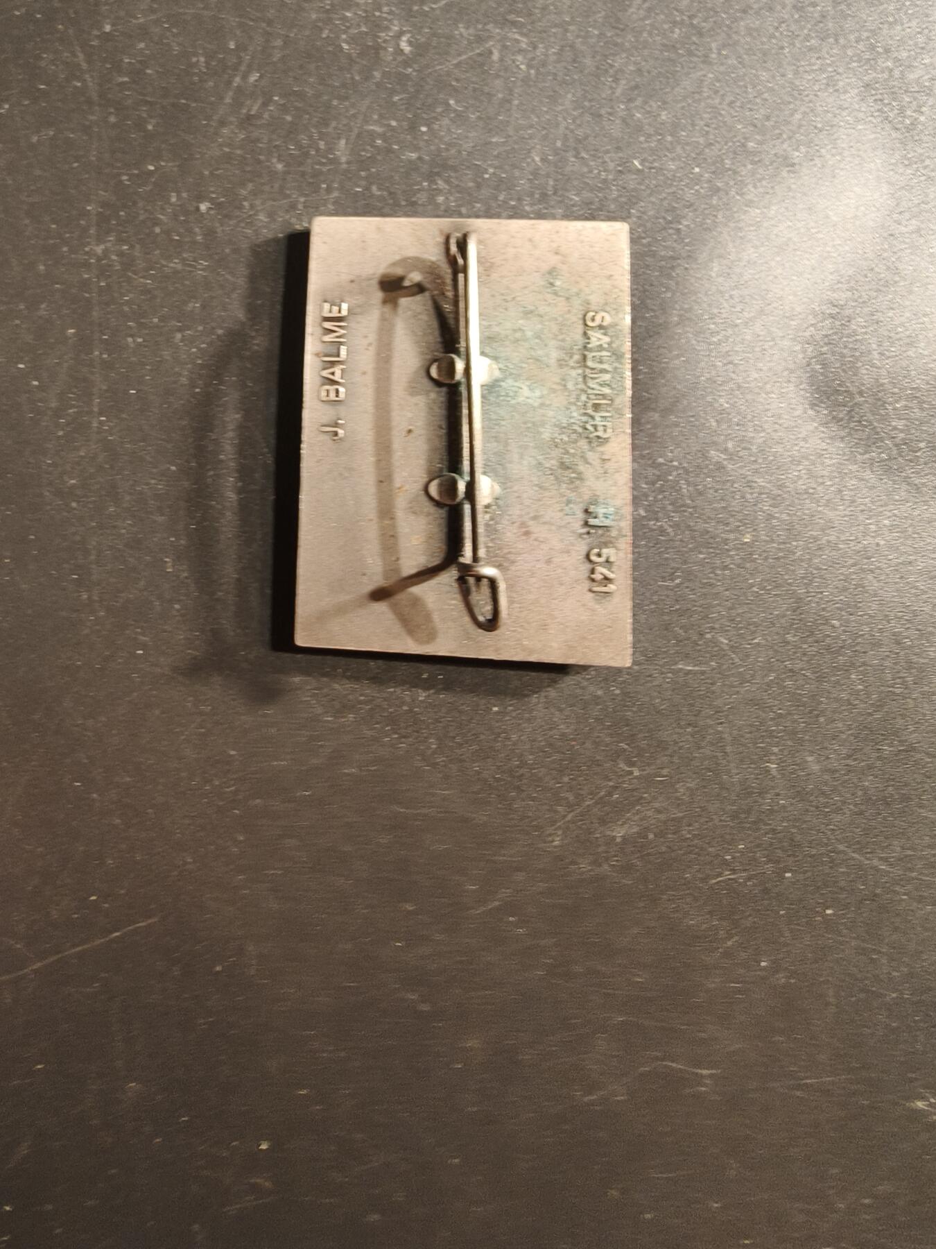 老王徽章第162期