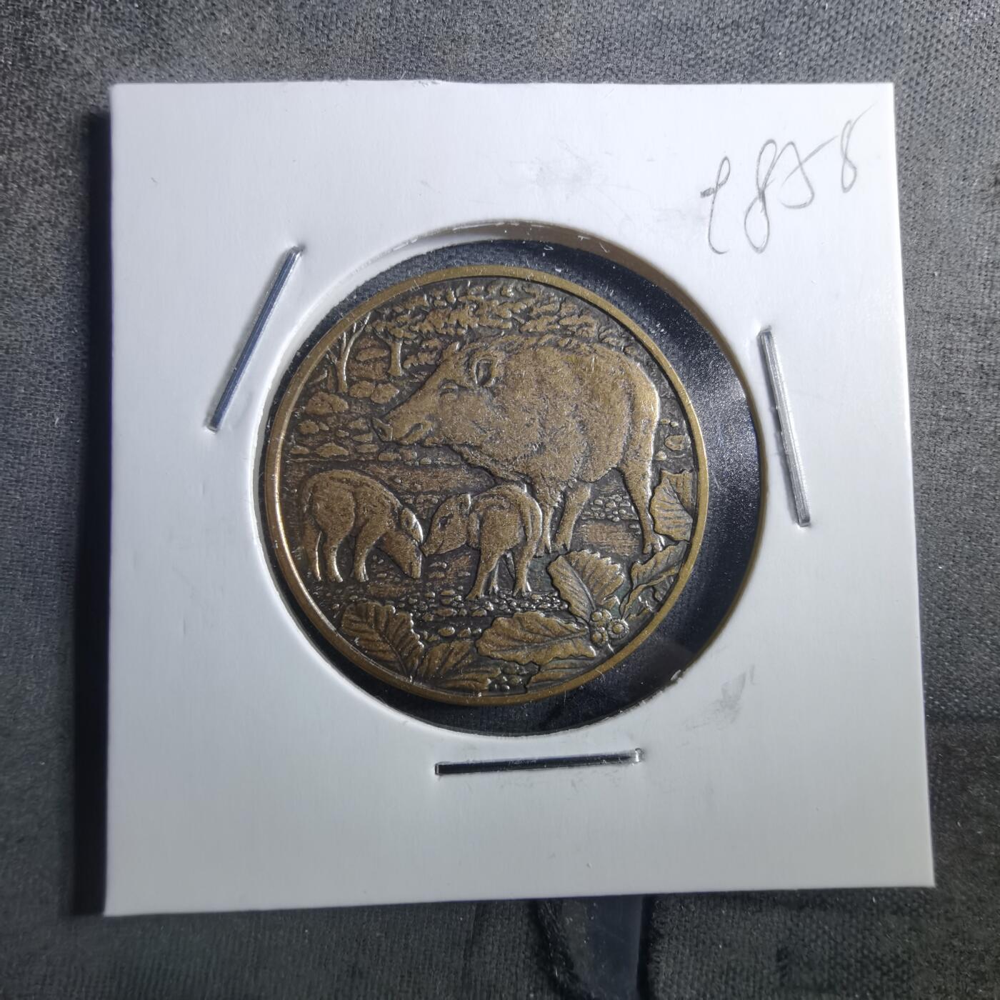 沼泽如烟--第898场 2019年生肖猪