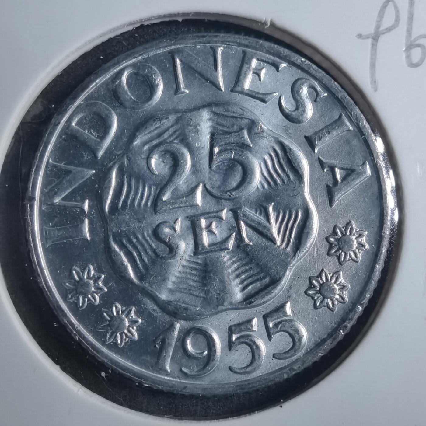 沼泽如烟--第896场 印度尼西亚1955年25分