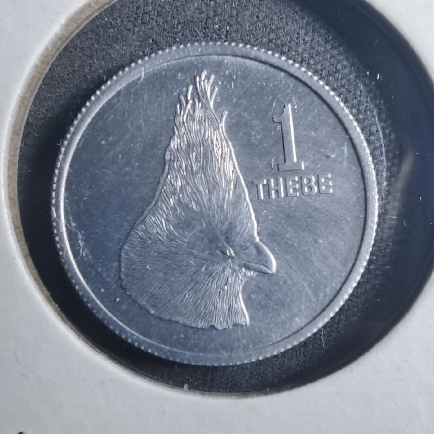 沼泽如烟--第896场